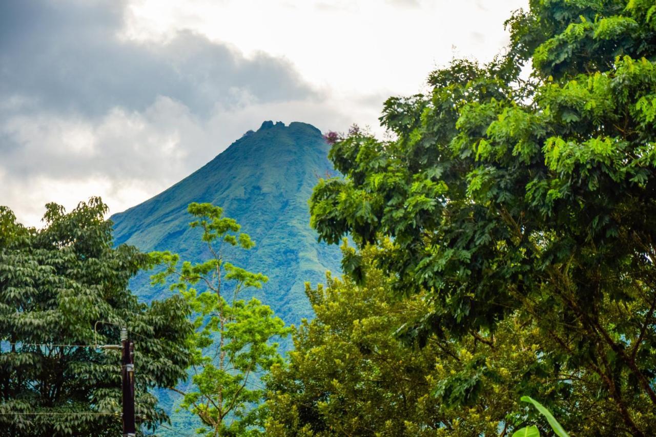 Yellow Tree Suites La Fortuna Exterior foto